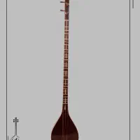 سه تار کاسه متوسط بیژن تبار