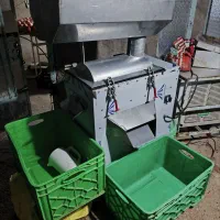 آب گوجه گیری
