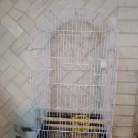 قفس بزرگ