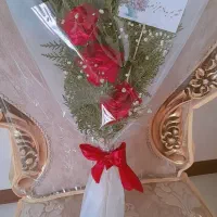 گل اقتصادی|گل و گیاه طبیعی|بجنورد, |دیوار