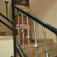 کارتن موزی فروشی