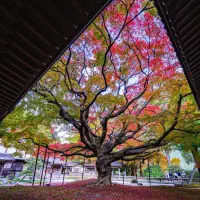 مشاوره اخذ  اقامت و ویزا اروپا ،آسیا