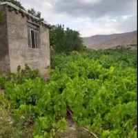 فروش باغ علویجه