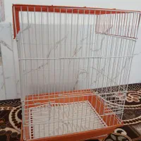 قفس پرنده