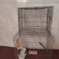 قفس پرنده