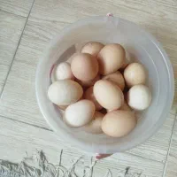 تخم مرغ محلی