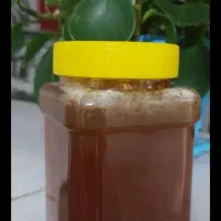 عسل گرمسیر درجه یک کیلو ۱میلیون