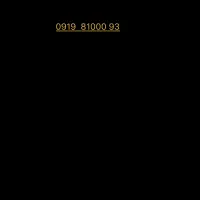 0919  81000 93
