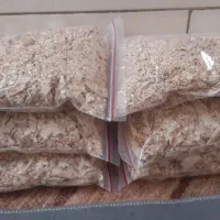 پوشال پرنده خواجه ربیع