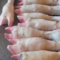 کوی معین زاده