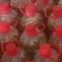 خیارشور ویژه فیت دار با طعم فلفل شوید