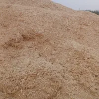کاه گلرنگ کربال