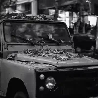 لندرور پاژن دو دف