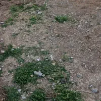 اجاره انبار واقع در علی آباد کنار شهرک صنعتی