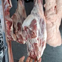 یک نفر نیرو آقا(دوشیفت)
