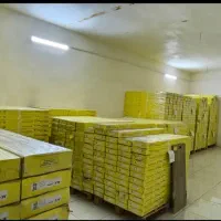 پارکت لمینت وارداتی پارکر