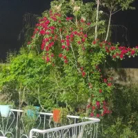 زمین-معاوضه-باموتور-ماشین-شاهنامه-گنبدواز-کلاکوب