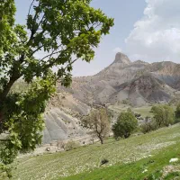 جویای کار نگهبانی