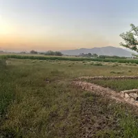 فروش زمین ۲۵۰۰ متری در ری|فروش زمین و ملک کلنگی|تهران, صاحب الزمان|دیوار