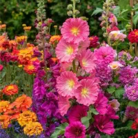 طبیعت گردی