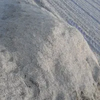 کاه