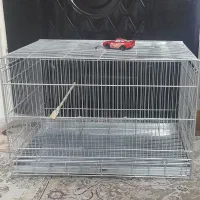 قفس  غلامی بزرگ
