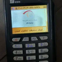 کاملا سالم فقط قط شده