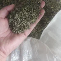 آویشن کیلویی ۵۰۰