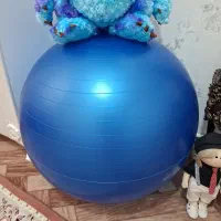 توپ ورزشی