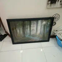 تابلو چراغ دار طبیعت