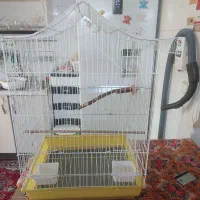 قفس پرنده فروشی