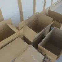کارتون اسبابکشی
