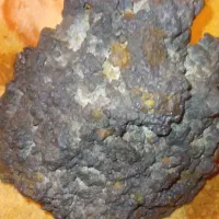 مجسمه پلاسایت