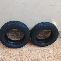 سوسنگرد بلوار معلم