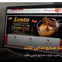 همکار طراحی سایت
