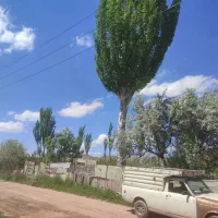 انواع باغ ویلا و قطعات با امکانات زین آباد/ ایوند