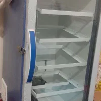 دستگاه جوجه کشی نو