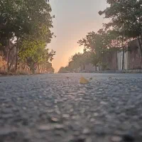 باغ فروشی