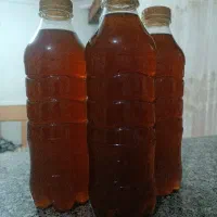 گیاه طبیعی