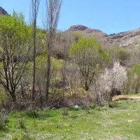 باغ تفریحی مرادی