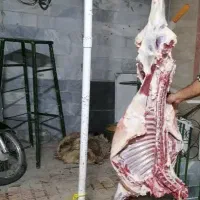 قصاب