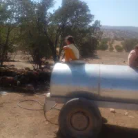 بره نر