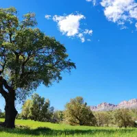 140-متری-تجاری-مسکونی