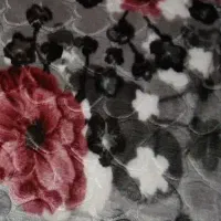 پتو