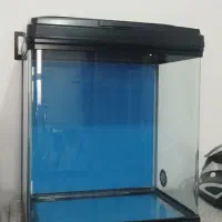 اکواریوم خارجی