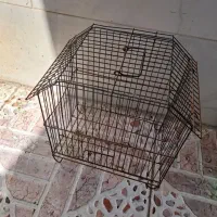 قفس