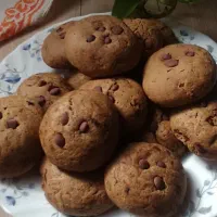 تغذیه مقوی