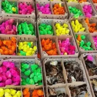 رنگی و محلی