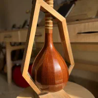 سه تار الگو هاشمی میرزا