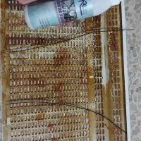 نسل جدید شوینده